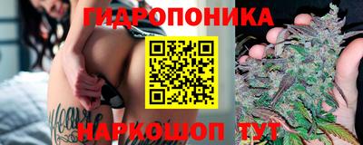 apvp Владимир