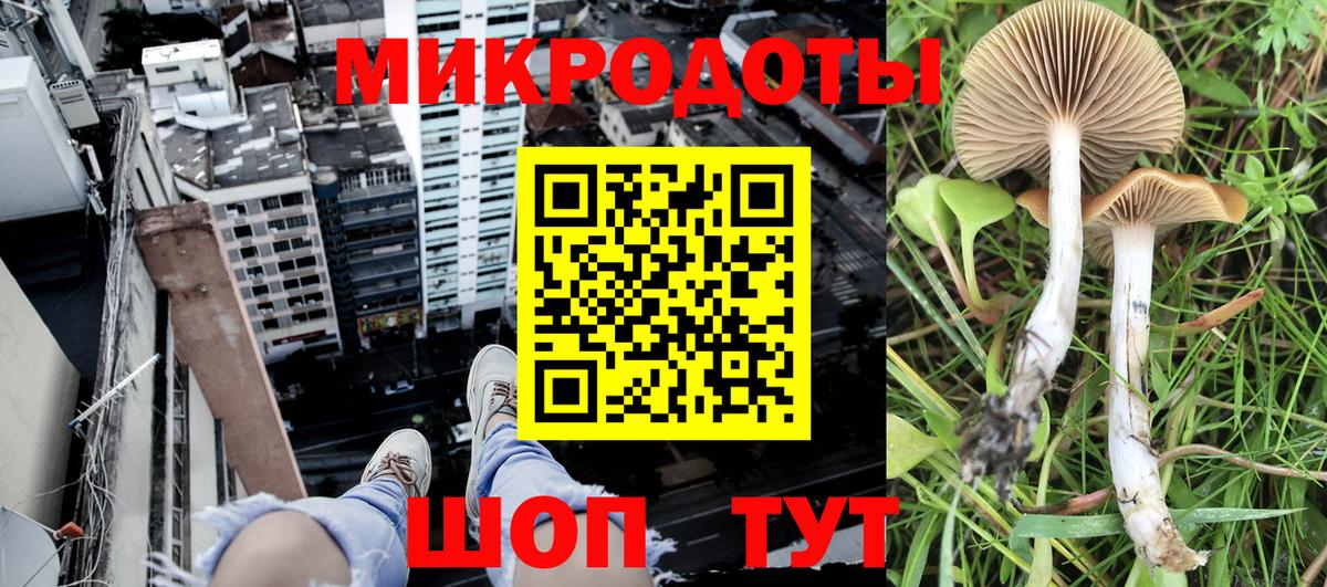 Псилоцибиновые грибы мухоморы Туапсе